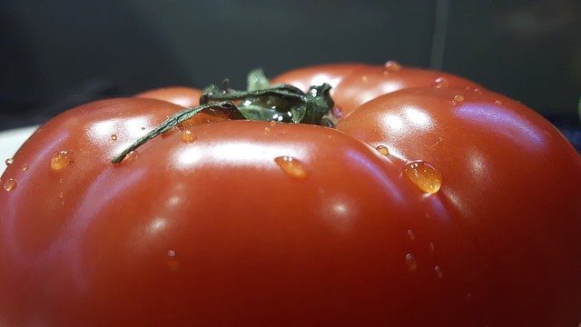 Free download Tomato Red Tomatoes -  free photo or picture to be edited with GIMP online image editor