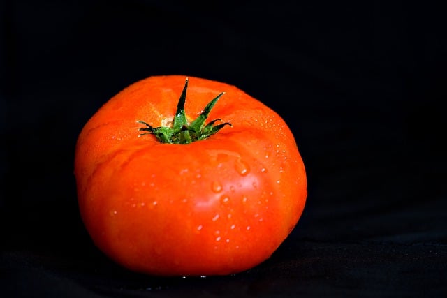 Free download tomato vegetable orange fresh free picture to be edited with GIMP free online image editor