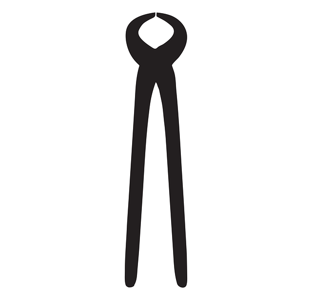 Free download Tool Pliers Equipment - Free vector graphic on Pixabay free illustration to be edited with GIMP free online image editor