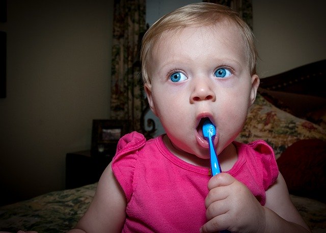 Free download Tooth Brush Baby Child -  free photo or picture to be edited with GIMP online image editor