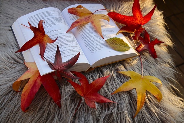 Free download to read books in the fall leaves free picture to be edited with GIMP free online image editor