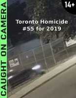 Free download Toronto Homicide 55 For 2019 free photo or picture to be edited with GIMP online image editor