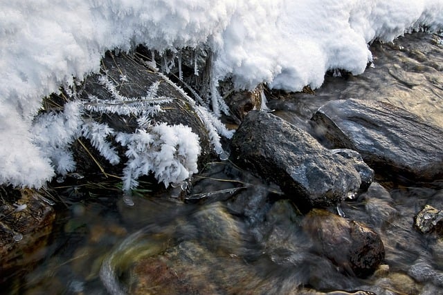 Free download torrent snow frost ice crystals free picture to be edited with GIMP free online image editor