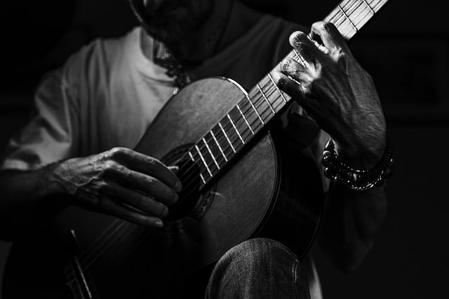 Free download totoo guitar music musician free picture to be edited with GIMP free online image editor