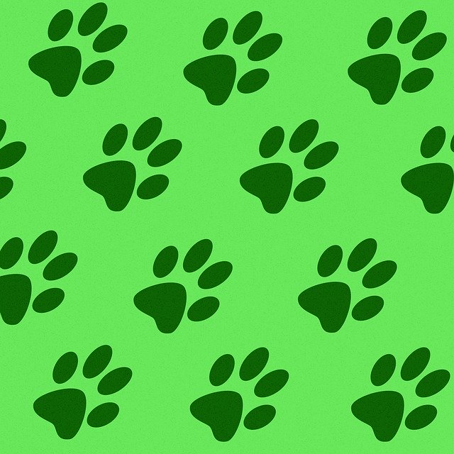 Free download Tracks Prints Paws Paw -  free illustration to be edited with GIMP free online image editor