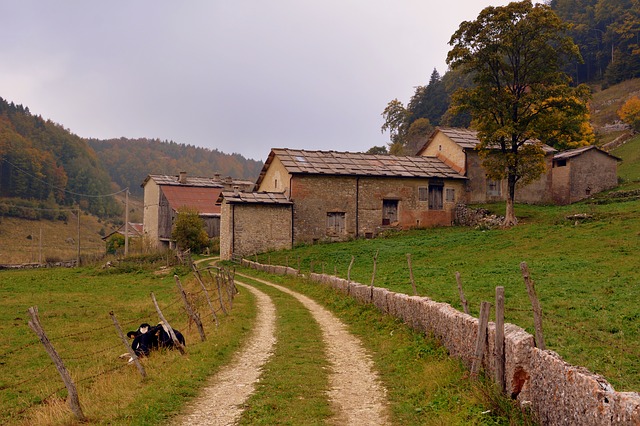 Free download trail stone fence borgo homes cow free picture to be edited with GIMP free online image editor