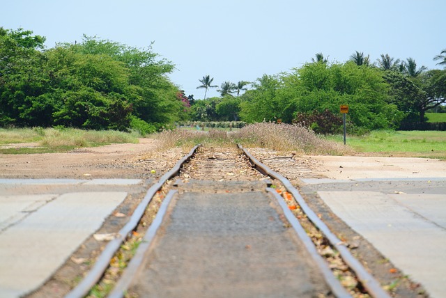 Free download train tracks ewa hawaii oahu free picture to be edited with GIMP free online image editor