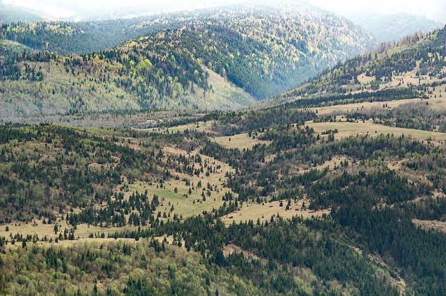 ดาวน์โหลดฟรี Transylvania Romania Landscape - ภาพถ่ายหรือภาพฟรีที่จะแก้ไขด้วยโปรแกรมแก้ไขรูปภาพออนไลน์ GIMP