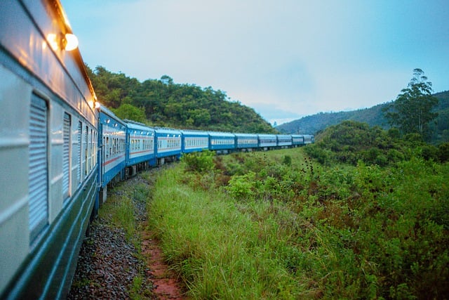 Free download travel train forest rail free picture to be edited with GIMP free online image editor