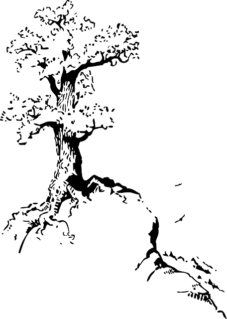 Free download Tree Black And White Perennial - Free vector graphic on Pixabay free illustration to be edited with GIMP free online image editor