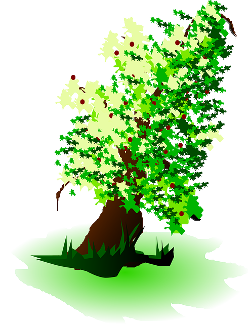 Free download Tree Grenn Fruits - Free vector graphic on Pixabay free illustration to be edited with GIMP free online image editor