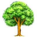 Tree History  screen for extension Chrome web store in OffiDocs Chromium