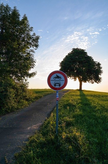 Free download Tree Lane Traffic Sign Forbidden -  free photo or picture to be edited with GIMP online image editor