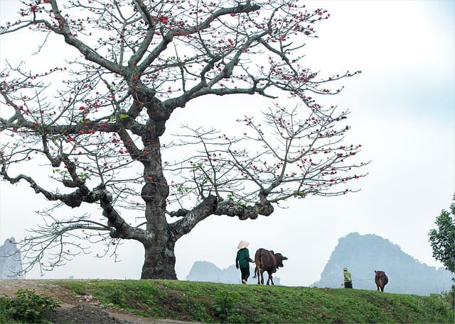 Free download tree mountain people village free picture to be edited with GIMP free online image editor