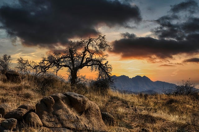 Free download tree natue mountain sunset clouds free picture to be edited with GIMP free online image editor