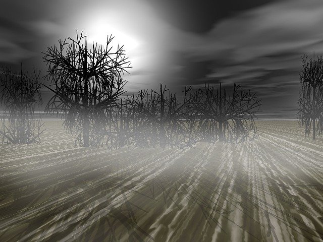 Free download Tree Night Fog -  free illustration to be edited with GIMP free online image editor