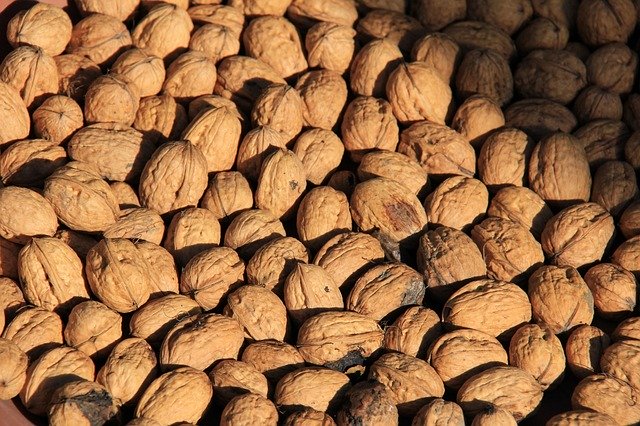 Free download Tree Nuts Quantitative -  free photo or picture to be edited with GIMP online image editor