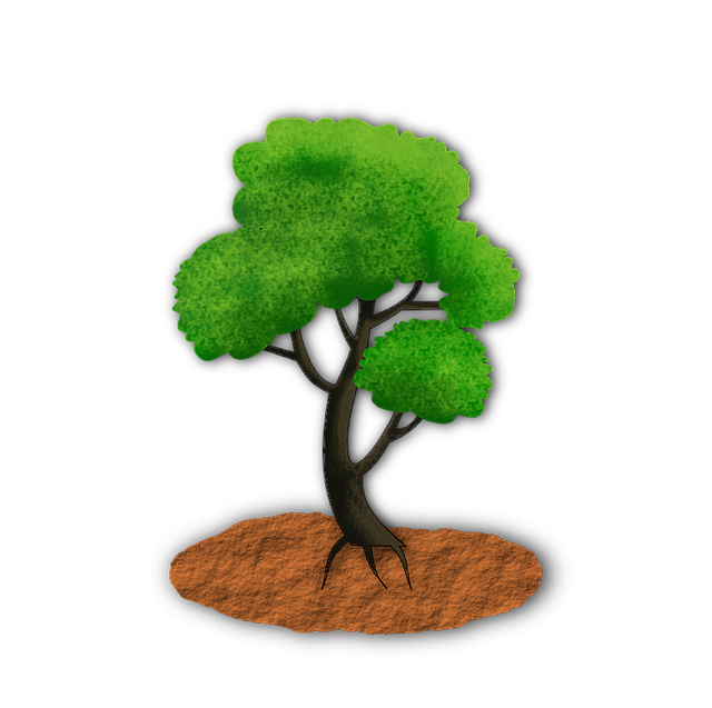 Free download Tree Plant - Free vector graphic on Pixabay free illustration to be edited with GIMP free online image editor