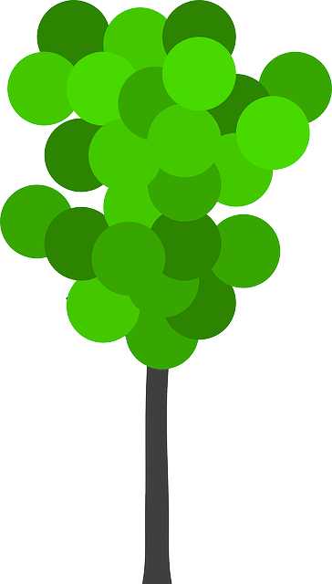 Free download Tree Plant Green - Free vector graphic on Pixabay free illustration to be edited with GIMP free online image editor