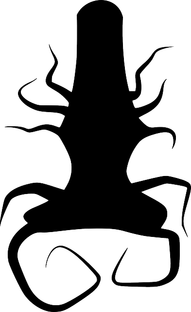 Free download Tree Roots Twisted - Free vector graphic on Pixabay free illustration to be edited with GIMP free online image editor