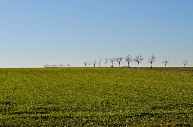 Free download Trees Arable Field -  free photo or picture to be edited with GIMP online image editor