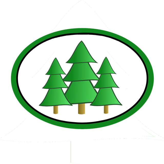 Free download Trees Evergreen Conifer -  free illustration to be edited with GIMP free online image editor