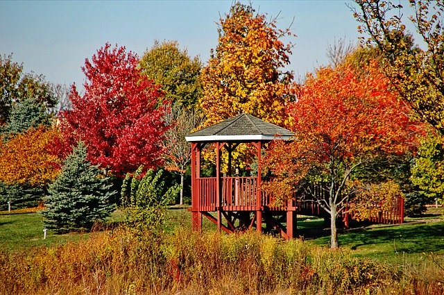 Free download Trees Gazebo Fall -  free photo or picture to be edited with GIMP online image editor