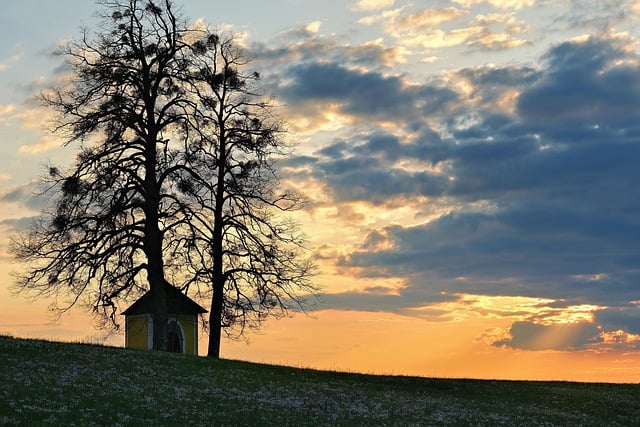 Free download trees house hill sunset landscape free picture to be edited with GIMP free online image editor