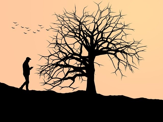 Free download Tree Silhouette Nature -  free illustration to be edited with GIMP free online image editor