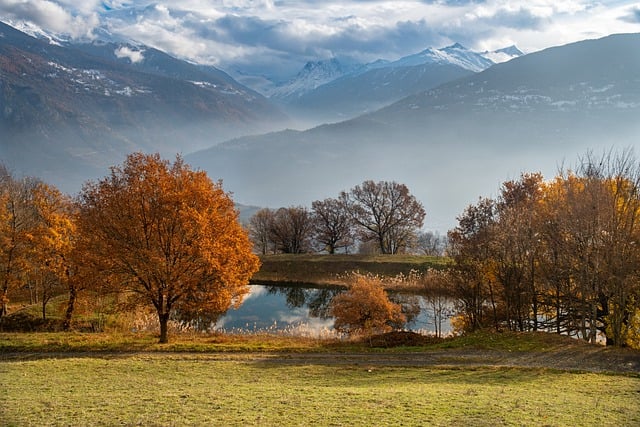 Free download trees lake leaves foliage alps free picture to be edited with GIMP free online image editor