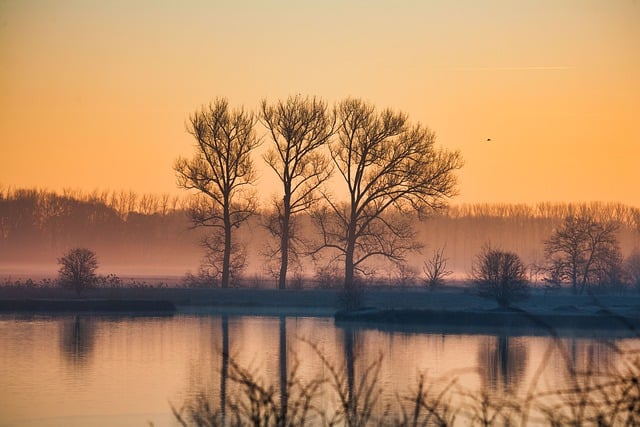 Free download trees lake sunset fog nature dusk free picture to be edited with GIMP free online image editor