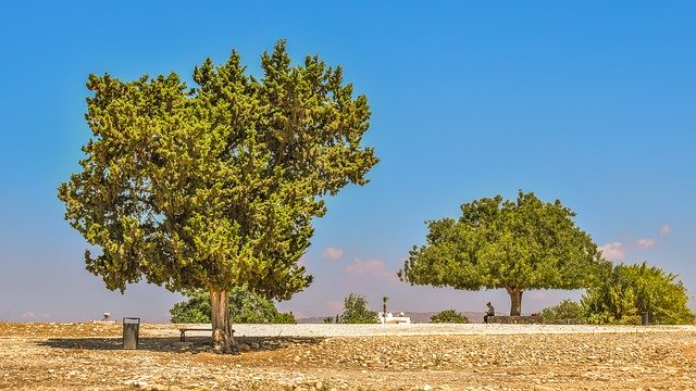 Free download Trees Landscape Cyprus AphroditeS -  free photo or picture to be edited with GIMP online image editor