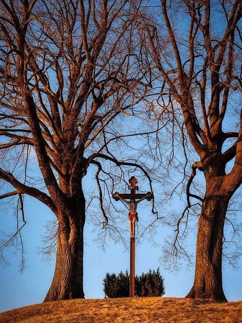 Free download trees march cross crucifix faith free picture to be edited with GIMP free online image editor