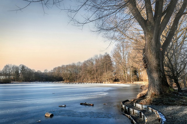 Free download tree snow lake pond water cold free picture to be edited with GIMP free online image editor