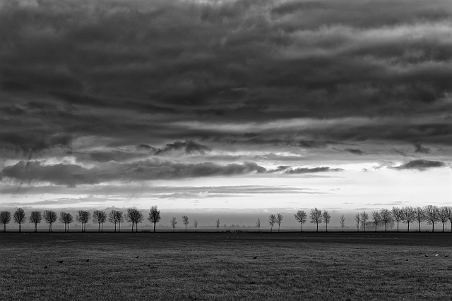 Free download trees pasture clouds landscape free picture to be edited with GIMP free online image editor