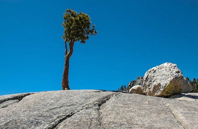 Descarga gratuita Trees Rock Scenic Tioga: foto o imagen gratuita para editar con el editor de imágenes en línea GIMP