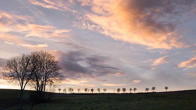 Free download Trees Silhouettes Silhouette -  free photo or picture to be edited with GIMP online image editor