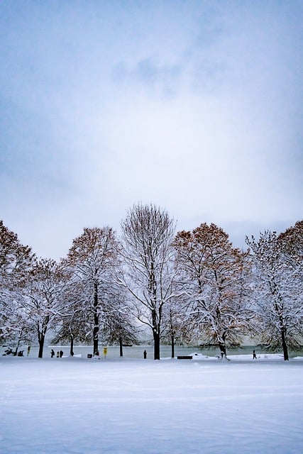 Free download trees snow field sky clouds free picture to be edited with GIMP free online image editor