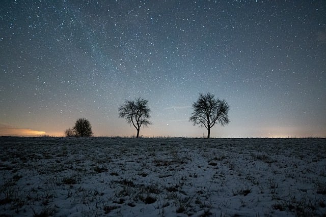 Free download trees stars snow night night sky free picture to be edited with GIMP free online image editor
