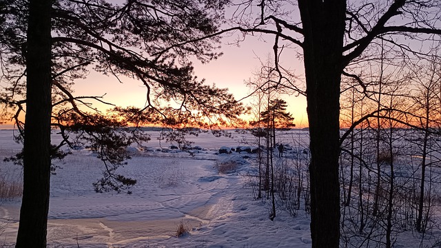 Free download trees sunset snow winter finland free picture to be edited with GIMP free online image editor