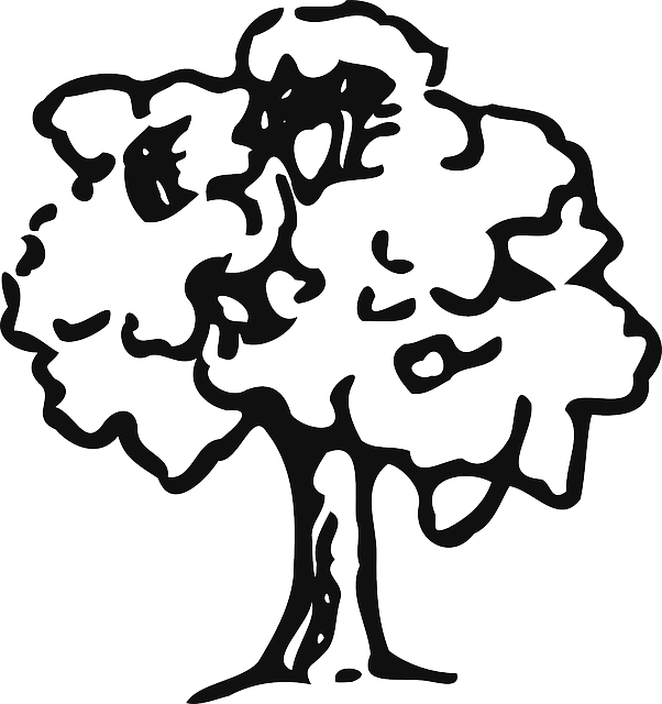 Free download Tree Trunk Plant - Free vector graphic on Pixabay free illustration to be edited with GIMP free online image editor