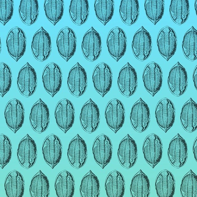 Free download Trilobite Digital Paper Background -  free illustration to be edited with GIMP free online image editor