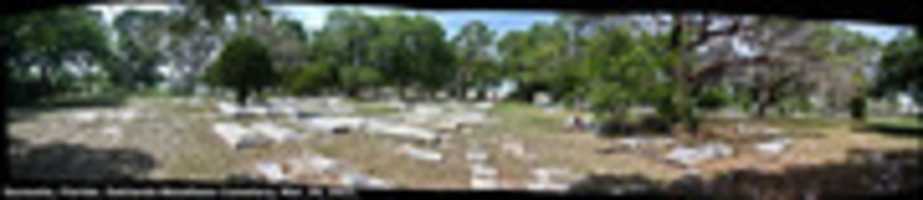 Free download Trip to Cemetery, Oaklands-Woodlawn Cemetery, Sarasota, FL, 2021 UPDATE. free photo or picture to be edited with GIMP online image editor