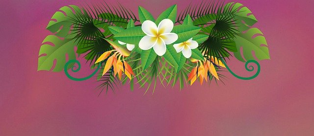 Free download Tropical Exotic Background -  free illustration to be edited with GIMP free online image editor