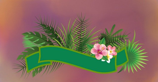 Free download Tropical Exotic Banner -  free illustration to be edited with GIMP free online image editor