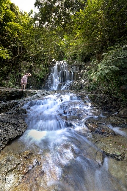 Free download Tropical Jungle The Waterfall -  free photo or picture to be edited with GIMP online image editor