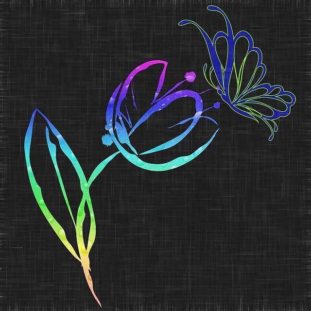 Free download Tulip Flower Butterfly -  free illustration to be edited with GIMP free online image editor