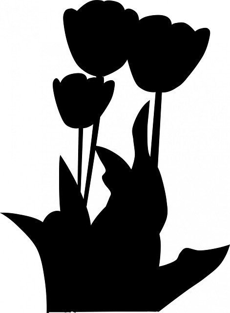 Free download Tulips Bloom Flowers -  free illustration to be edited with GIMP free online image editor