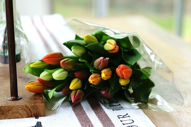 Free download tulips flowers bouquet petals free picture to be edited with GIMP free online image editor