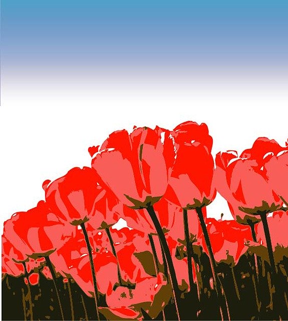 Free download Tulips Vectors Illustration -  free illustration to be edited with GIMP free online image editor